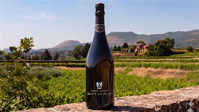 Jazz in vigna jeroboam cantina Murgo Jazz in vigna jeroboam cantina Murgo
