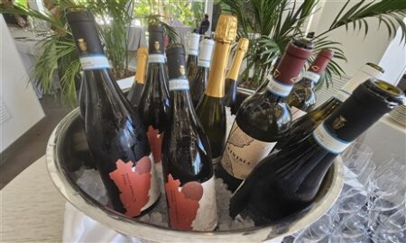 Vini delle cantine Birgi