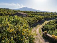 Bell’Italia Viaggio GAL Aci droni
