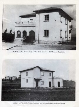 Borgo Pietro Lupo 2