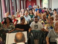 Il pubblico