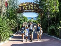MagicLand -2
