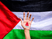 wimbledon sonmez fermacorde anguria palestina
