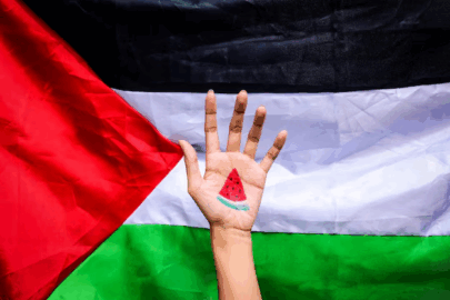 wimbledon sonmez fermacorde anguria palestina