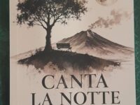 Copertina Canta la notte