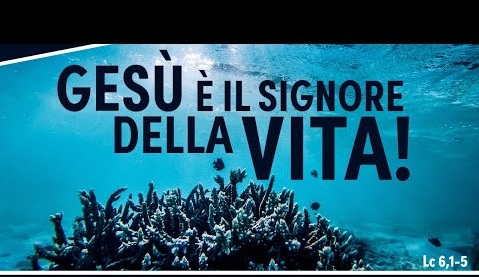 Gesù è signore della vita Gesù è signore della vita
