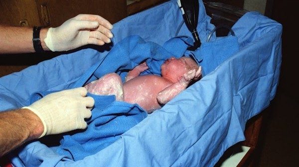 Prolife tutela della vita Prolife tutela della vita
