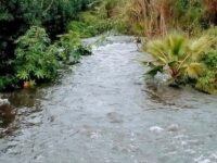 Torrente Lavinaio PLatani nei giorni di intensa pioggia