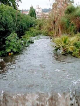 Torrente Lavinaio PLatani nei giorni di intensa pioggia