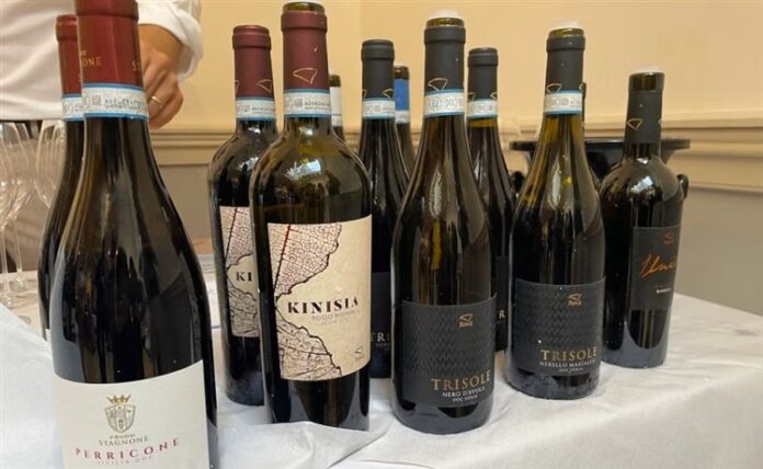 Vini delle cooperative Feudo Stagnone e Birgi Vini delle cooperative Feudo Stagnone e Birgi
