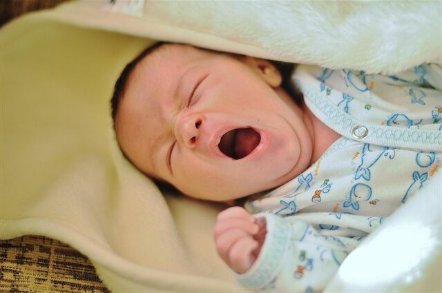Prolife neonato Prolife, neonato
