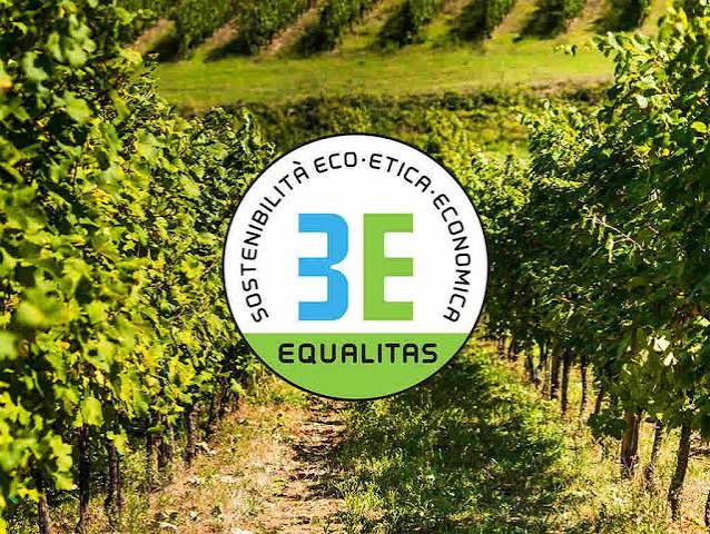 marchio equalitas con sfondo vigna marchio equalitas con sfondo vigna